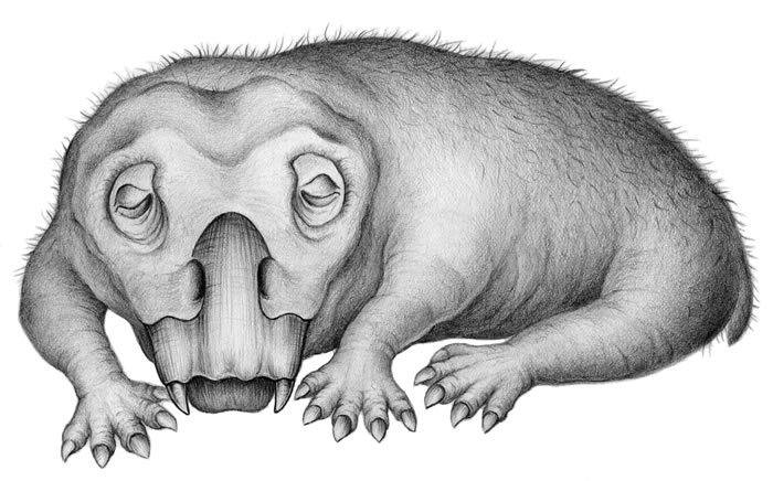 《通讯生物学》：生活在2.5亿年前三叠纪早期的南极水龙兽可能是冬眠界的鼻祖