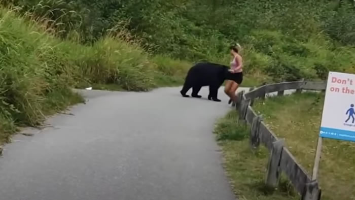 加拿大女子在登山路段慢跑 黑熊突然从树丛中现身还伸掌摸她的腿