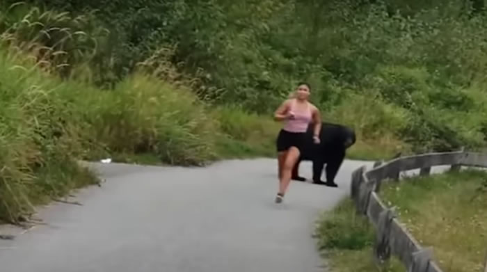 加拿大女子在登山路段慢跑 黑熊突然从树丛中现身还伸掌摸她的腿