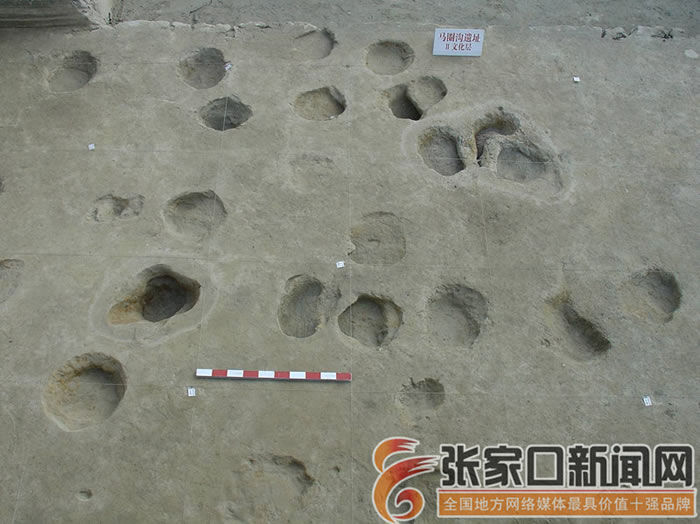 马圈沟遗址第二文化层发现的大象脚印