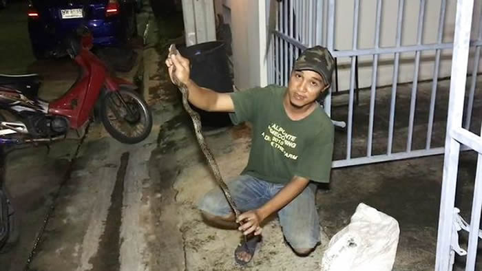 泰国暖武里府邦艾县18岁少年上厕所被蟒蛇咬伤“小弟弟”