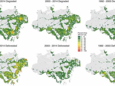 巴西亚马逊森林退化速度超过森林砍伐速度