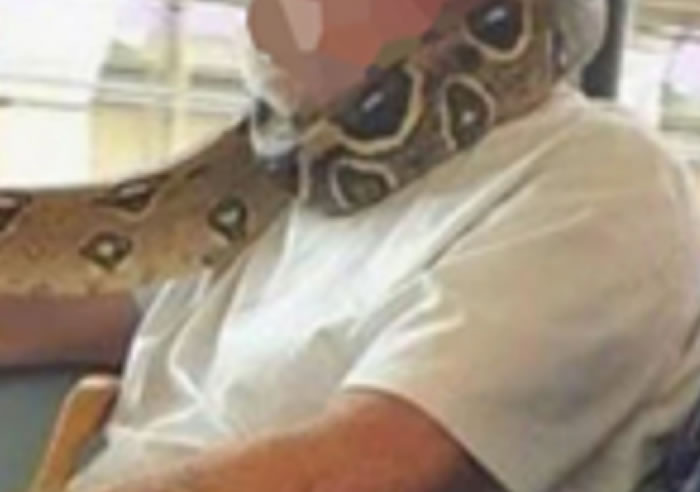 英国一男子乘公交车时未戴口罩 而是用蟒蛇遮住口鼻