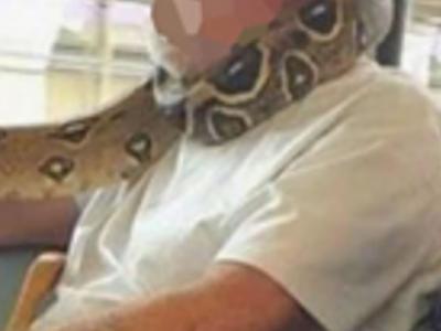 英国一男子乘公交车时未戴口罩 而是用蟒蛇遮住口鼻