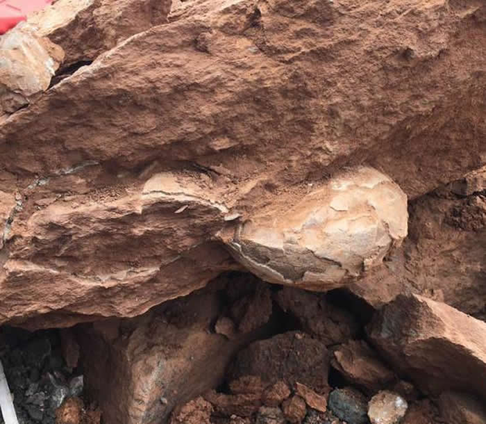 江西省萍乡市上栗工业园区工地发现十余枚距今约9000万年的晚白垩世早期恐龙蛋化石
