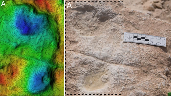 12万年前足迹化石提供了早期人类在阿拉伯半岛居住的证据