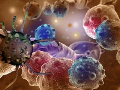 美国Sanford Burnham Prebys医学研究所专家发现新的对抗癌细胞的方法