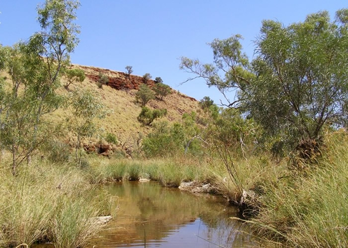 澳洲矿业公司力拓炸毁西澳省4.6万年历史的原住民岩棚 行政总裁将离职