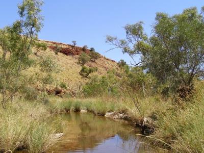 澳洲矿业公司力拓炸毁西澳省4.6万年历史的原住民岩棚 行政总裁将离职