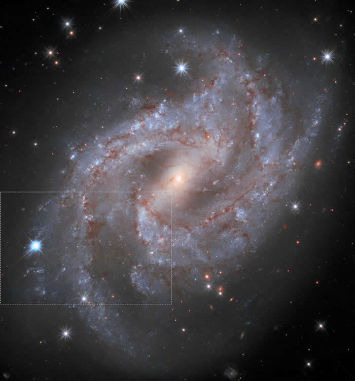 船尾座NGC 2525棒旋星系中的超新星SN 2018gv