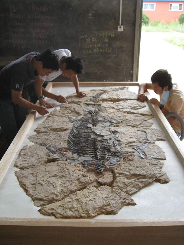 丁今朝（左一）：解救“海怪”的人 世界最原始的龟类化石在他手下重现天日