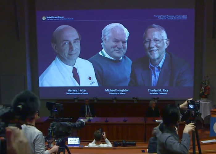 诺贝尔奖颁奖典礼改为线上直播，医学奖得主为阿尔特、霍顿、莱斯（左起）。