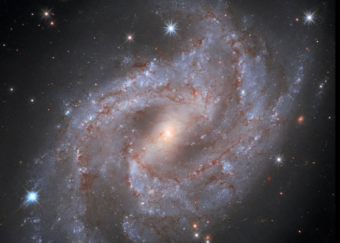 船尾座NGC 2525螺旋星系超新星“SN 2018gv”缩时影像 比太阳耀眼50亿倍