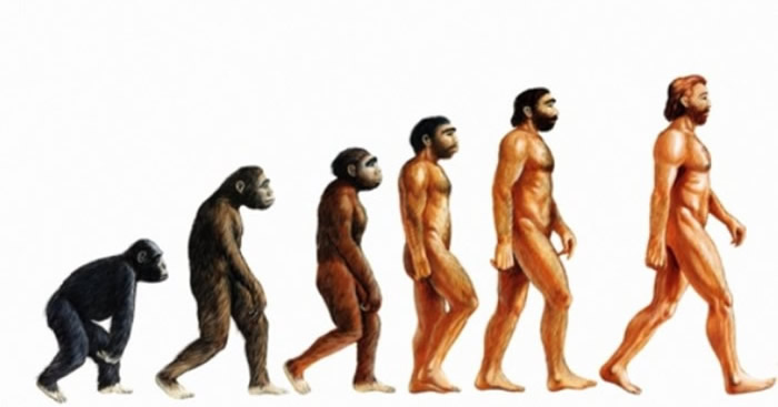 人类正以250年来最大速度进化 将来会有愈来愈多的人没有智慧齿