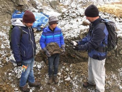 加拿大12岁男童在艾伯塔省登山期间发现6900万年前的鸭嘴龙化石