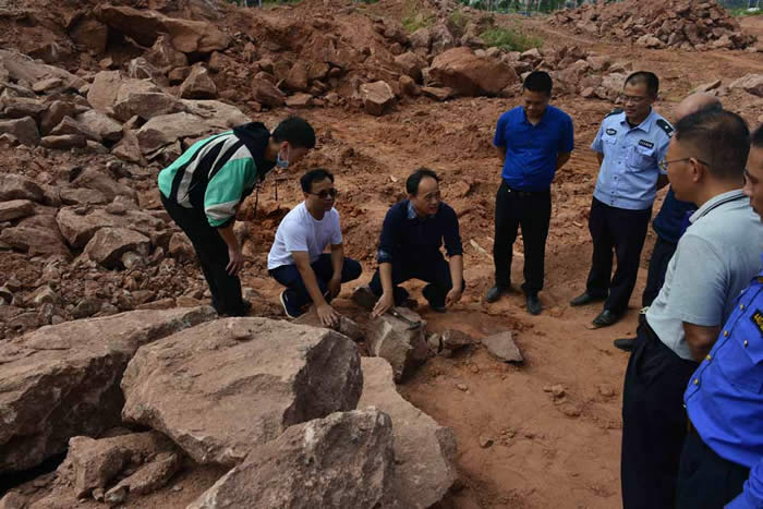 广东省河源市区32枚遭偷盗的恐龙蛋化石被追回