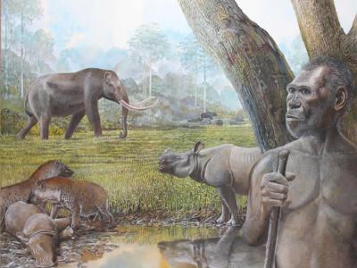 东南亚成为了解古人类及哺乳动物迁徙和灭绝的重要地区