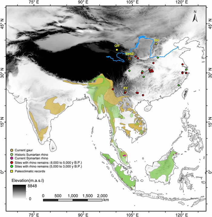 古DNA研究发现新石器时代晚期青藏高原东北部存在热带大型哺乳动物