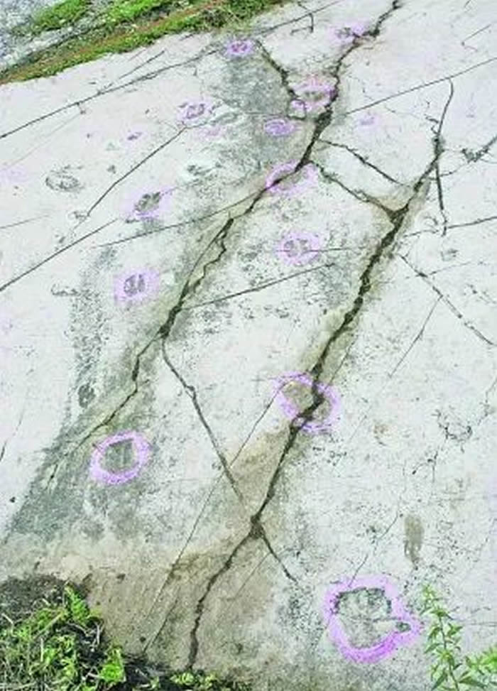 贵州安顺幺铺镇红龙村发现200多个中生代海生爬行动物足迹化石