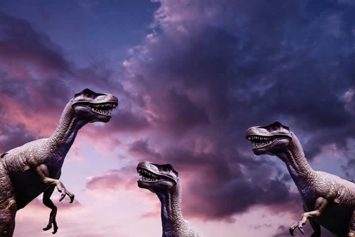 我们能克隆恐龙吗？怎样获得恐龙的DNA是第一步