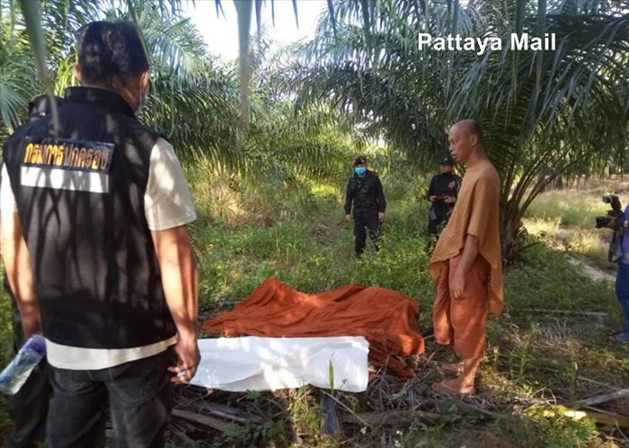 泰国东部春武里府一名出外化缘的僧人惨遭失控巨大野象踩死
