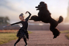 世界上跳得最高的狗：羽毛 弹跳极好最高可跳到接近2米