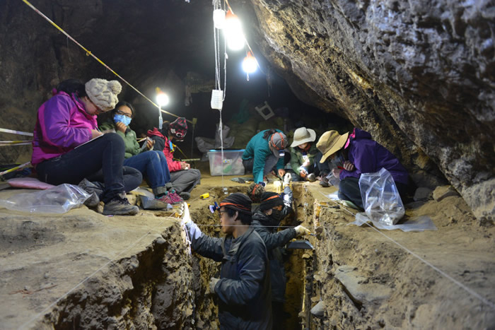 白石崖溶洞夏河人下颌骨化石研究揭示丹尼索瓦人在晚更新世长期生活在青藏高原