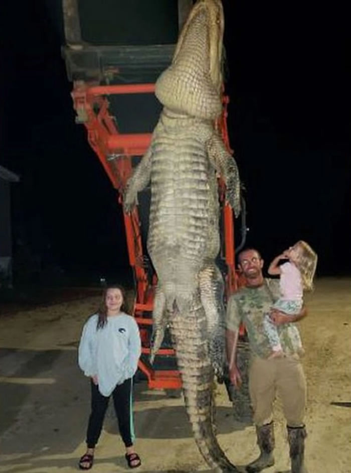美国佛罗里达州居民用鱼鳔猎杀4米长短吻鳄 这条鳄鱼过去三年一直跟踪他