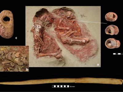 《自然》杂志官网：奥地利发现一对生活在大约3万年前的人类双胞胎婴儿遗骸