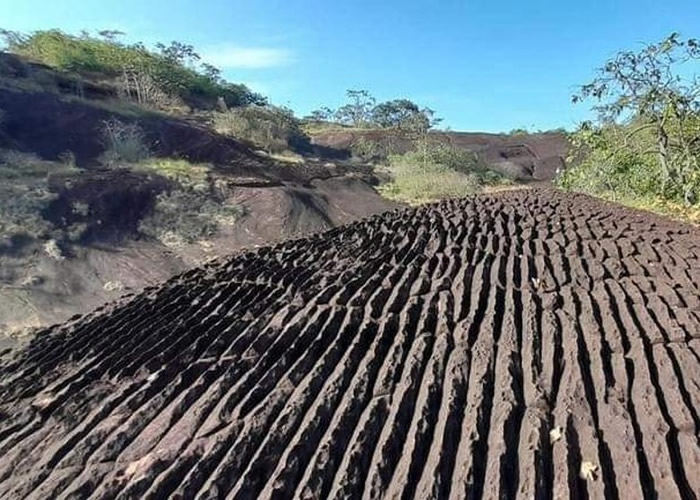 泰国汶甘府的普沃野生动物保护区发现大片地质奇观 石纹形似洗衣板