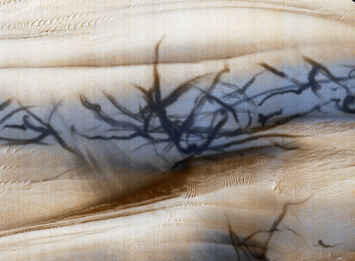 NASA火星勘测轨道器MRO在火星上看到“尘魔”痕迹 像巨大怪物用爪子划过火星表面