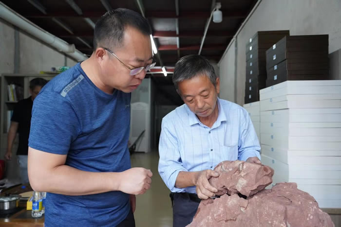 业余化石爱好者在珠海斗门华发水郡省级湿地公园发现恐龙蛋化石