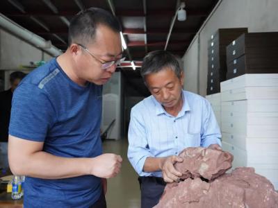 业余化石爱好者在珠海斗门华发水郡省级湿地公园发现恐龙蛋化石