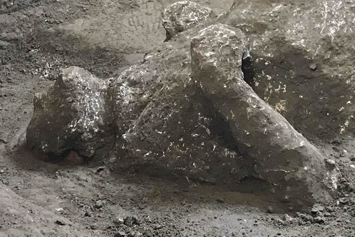 古罗马庞贝古城发现死于维苏威火山喷发的主仆二人遗骸