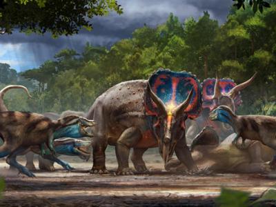 商业化石猎人发现“决斗恐龙”化石：三角龙与霸王龙之间的致命争斗