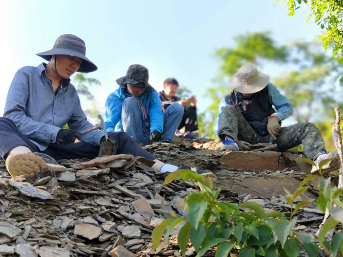 孙智新（ 左一）与导师和团队成员一起发掘范特西虫化石。受访者供图。