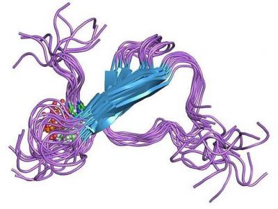 phys.org：变异的sestrins蛋白能够延长寿命