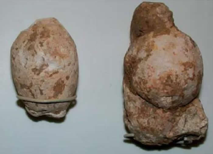 鬣狗粪便化石，发现于英格兰北约克郡的洞穴，保存在牛津大学博物馆。