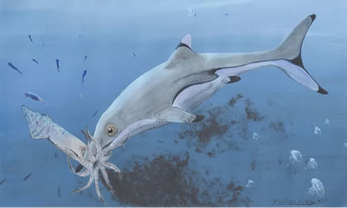 鱼龙吃鱿鱼复原图，基于1.99亿年前的鱼龙的胃内容物所画。图片来源：Julian Kiely