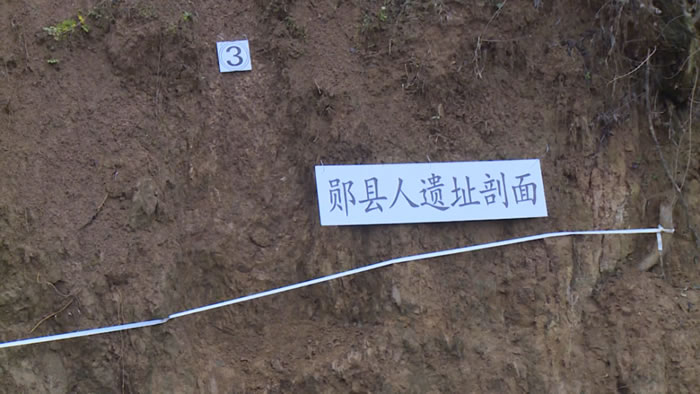距今100万年的“郧县人”头骨化石发现30周年