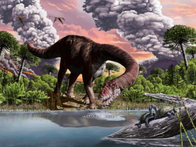 为觅得长在树梢的食物 蜥脚类恐龙进化出长脖子