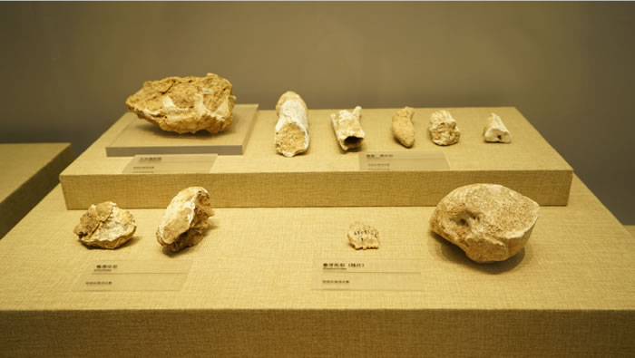 来广西柳州白莲洞洞穴科学博物馆补一堂历史课