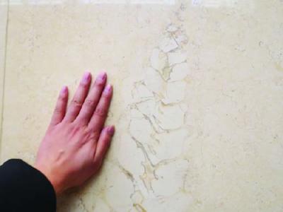 江苏淮安市政大厅地砖藏着2000万年前化石？专家：并不罕见