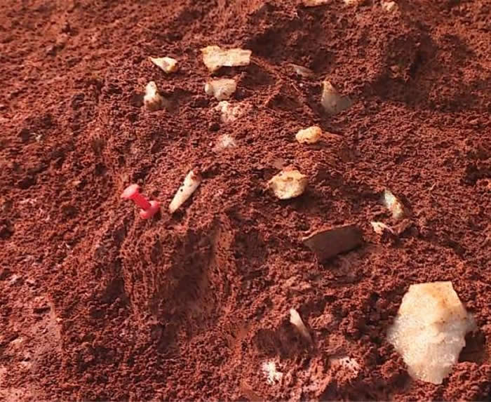 江西省高安市发现旧石器时代旷野遗址 出土5000余件石制品