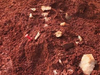 江西省高安市发现旧石器时代旷野遗址 出土5000余件石制品