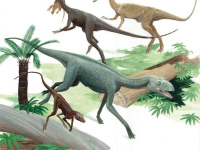 《自然》：翼龙演化上最近的近亲可能是类似恐龙的小型动物兔蜥