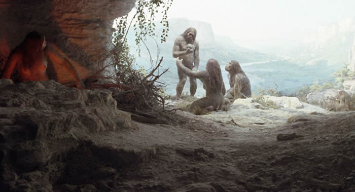 对50万年前海德堡人的研究发现穴居人可能会在寒冷的季节里进入冬眠
