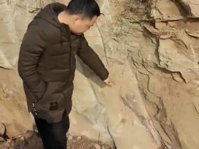 自贡市民在大安区大山铺镇散步时发现恐龙化石 专家初步认定为距今1.6亿年前的蜥脚类
