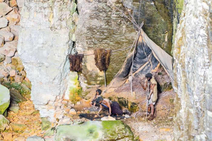西班牙“骨头坑”洞穴人类化石研究显示：早期的尼安德特人可能通过冬眠来度过寒冬