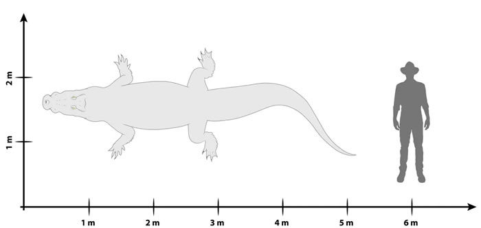 “沼泽之王”！澳大利亚巨型鳄鱼化石被正式命名为“Paludirex vincentix”